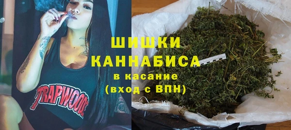 соль ск Краснослободск