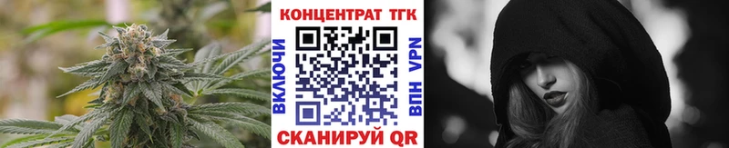 Купить закладки  Кирсанов  ТГК концентрат 