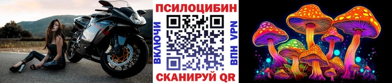 Купить закладки  Кирсанов  Галлюциногенные грибы Magic Shrooms 