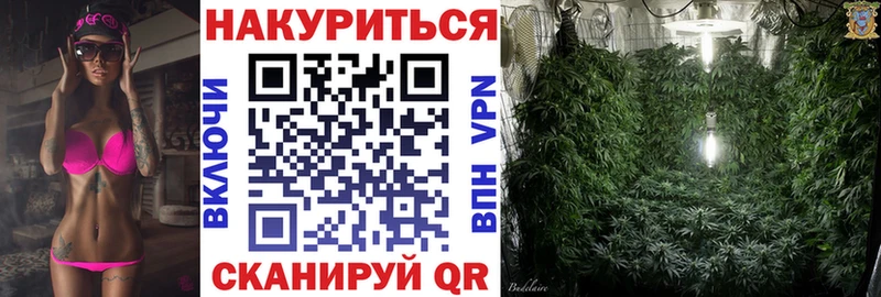 Бошки Шишки семена  Купить где  Кирсанов 